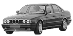 BMW E34 P1409 Fault Code